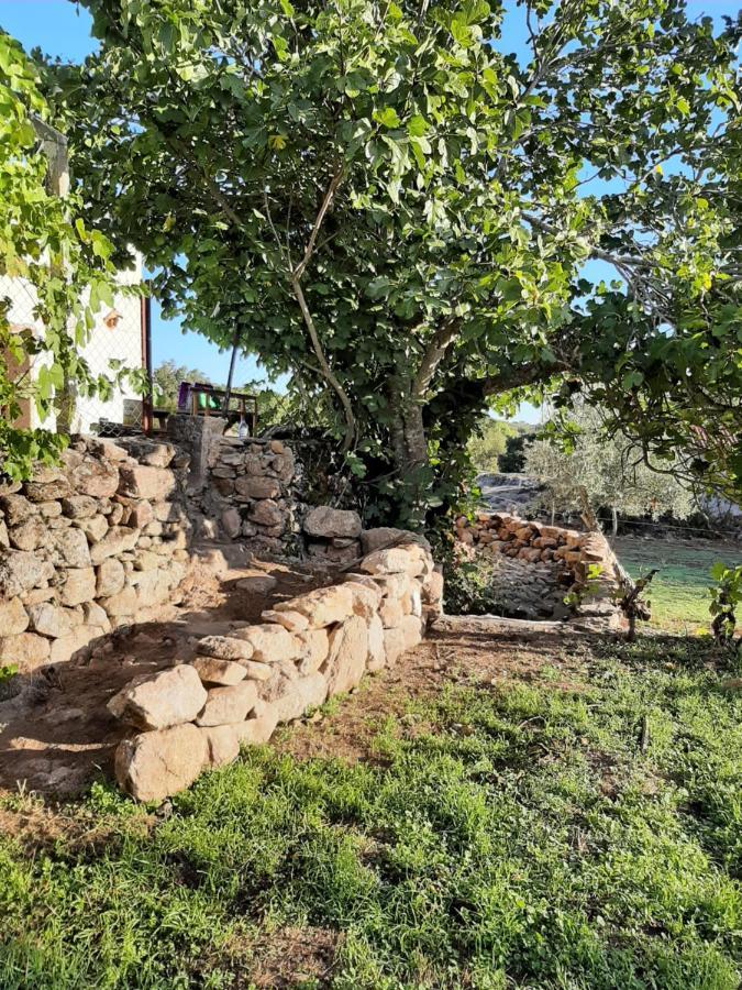 Magic Nature Lodge Marvão Exterior photo