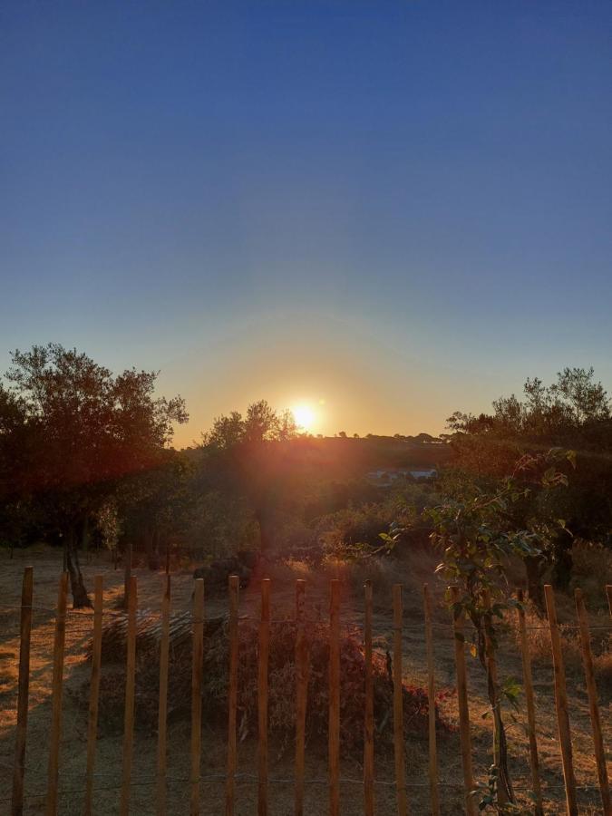 Magic Nature Lodge Marvão Exterior photo